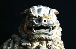 Liondog image